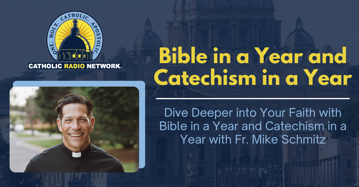 Bible in a Year and Catechism in a Year with Fr. Mike Schmitz